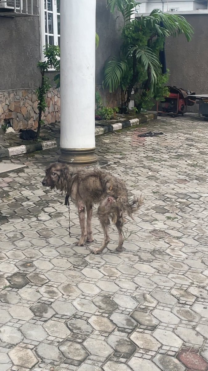 Ogochukwu ❤️ tweet media