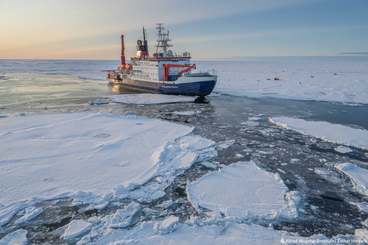 German Embassy London tweet media