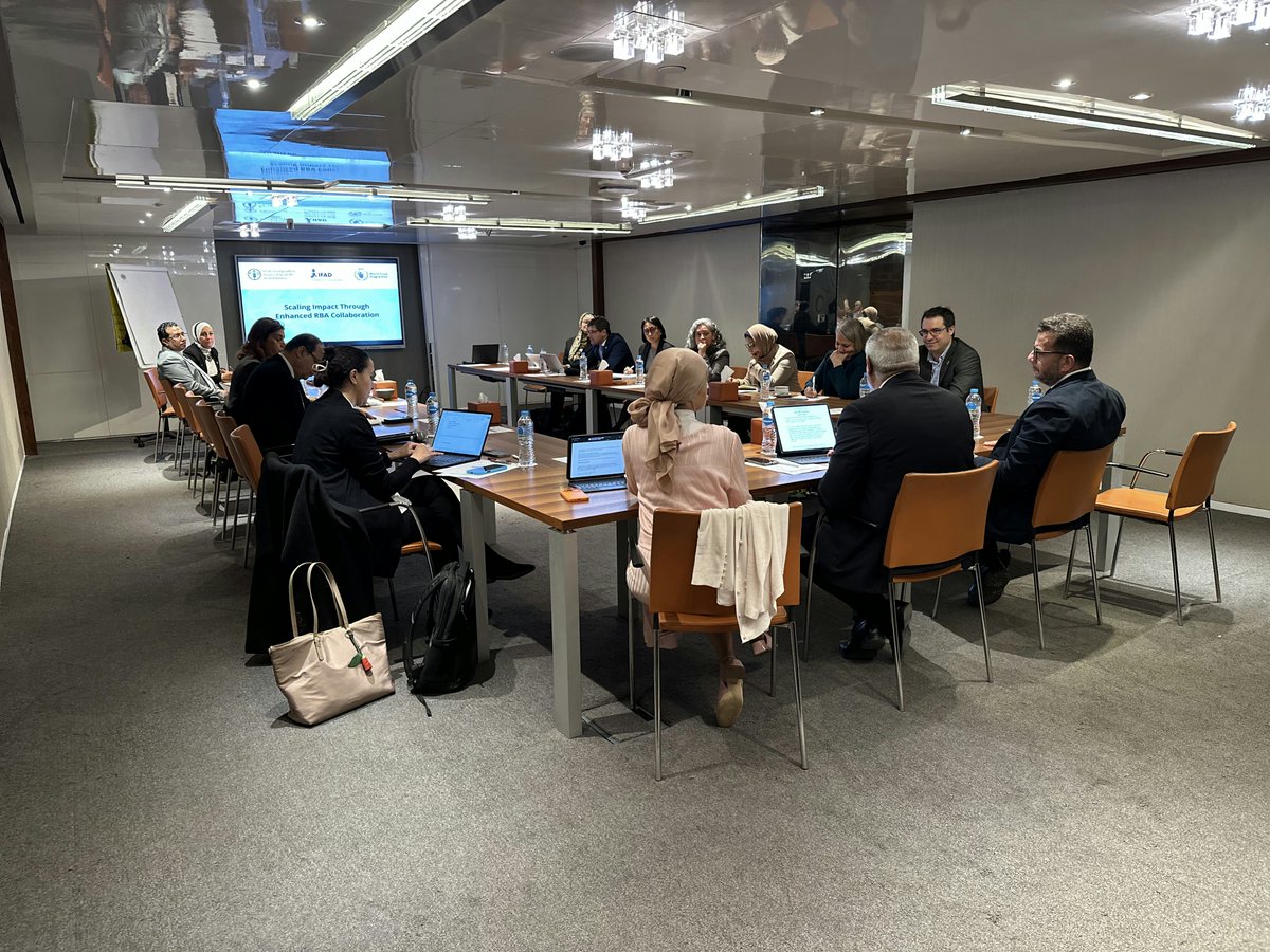 Rawad Halabi tweet media