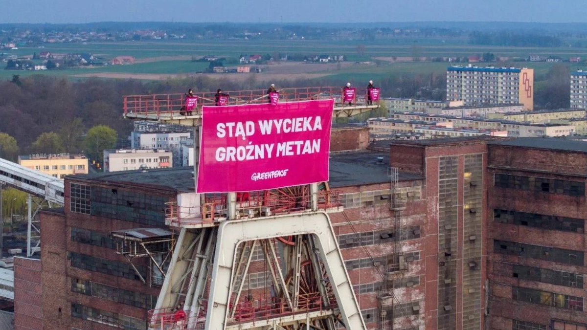 Rafał Mekler tweet media