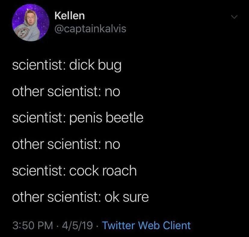 Rothmus 🏴 tweet media