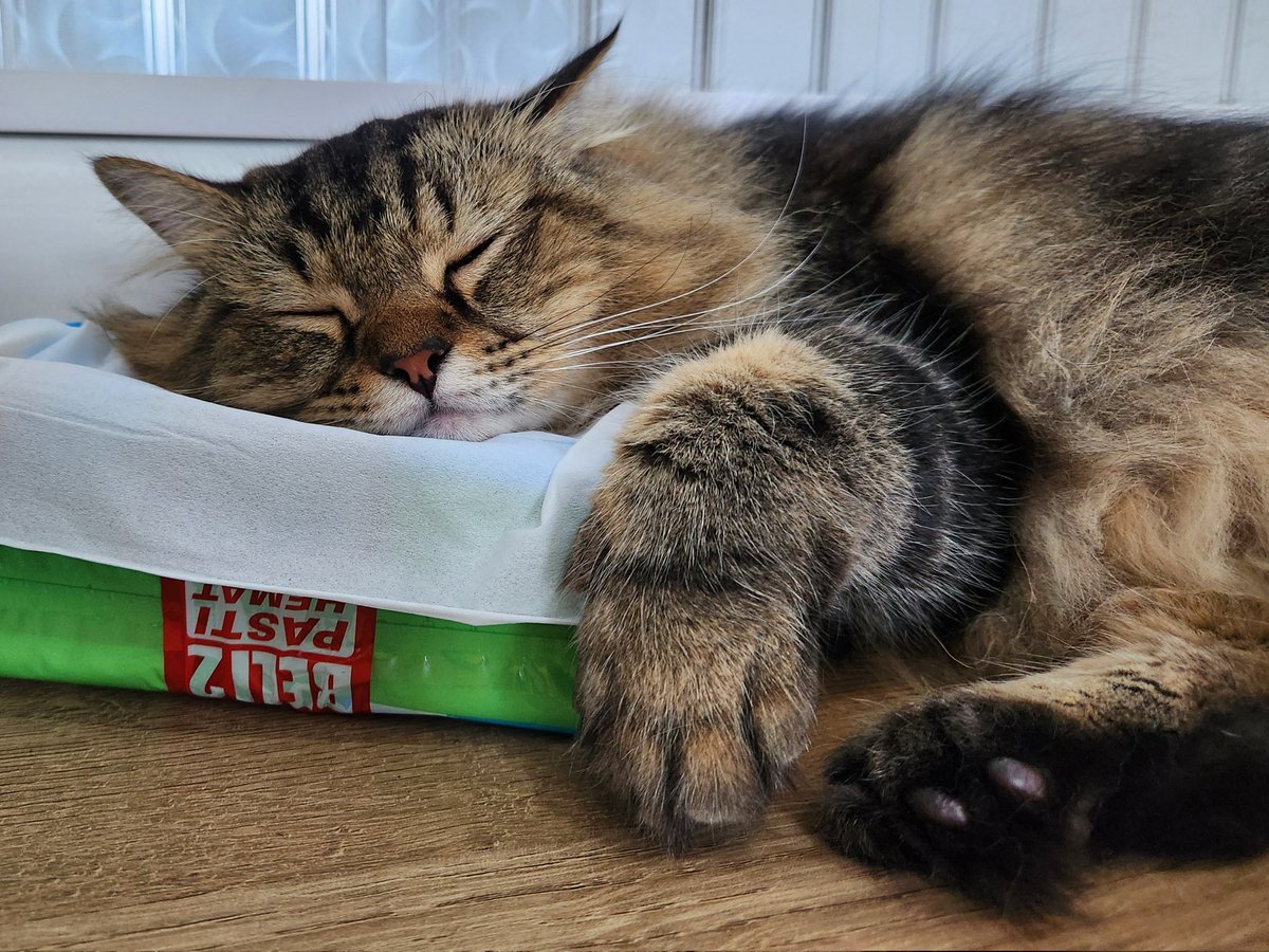 Kevin Mulia tweet media