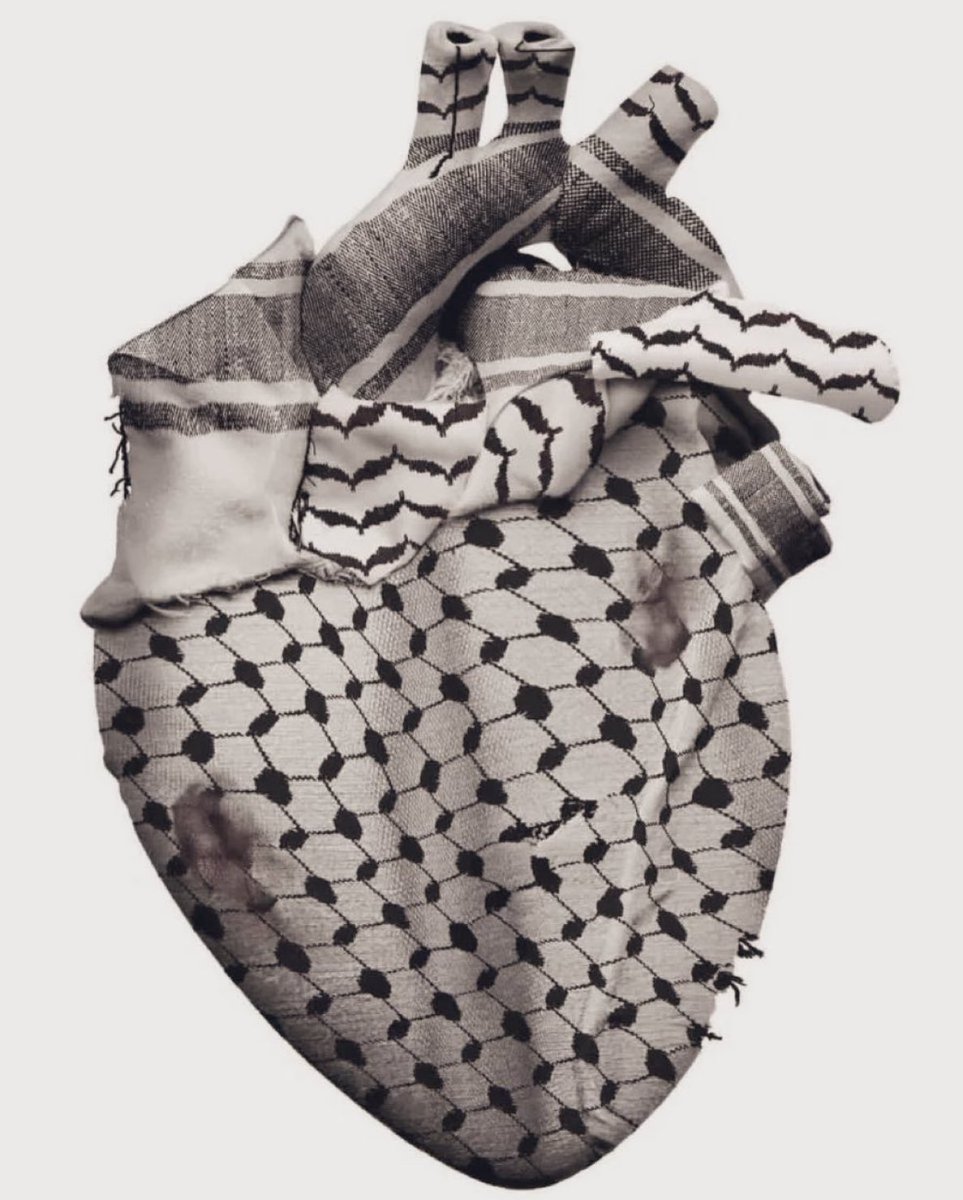 ollo quemira tweet media