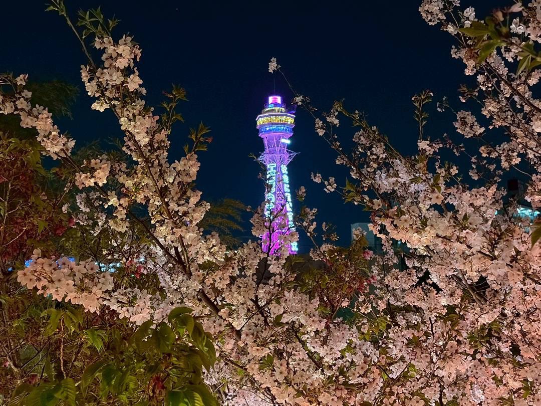 新澤良文　地方から政治を正す！ tweet media