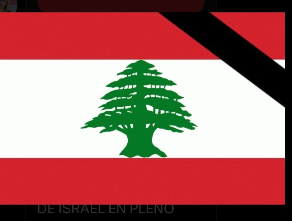 John bach rose tweet media