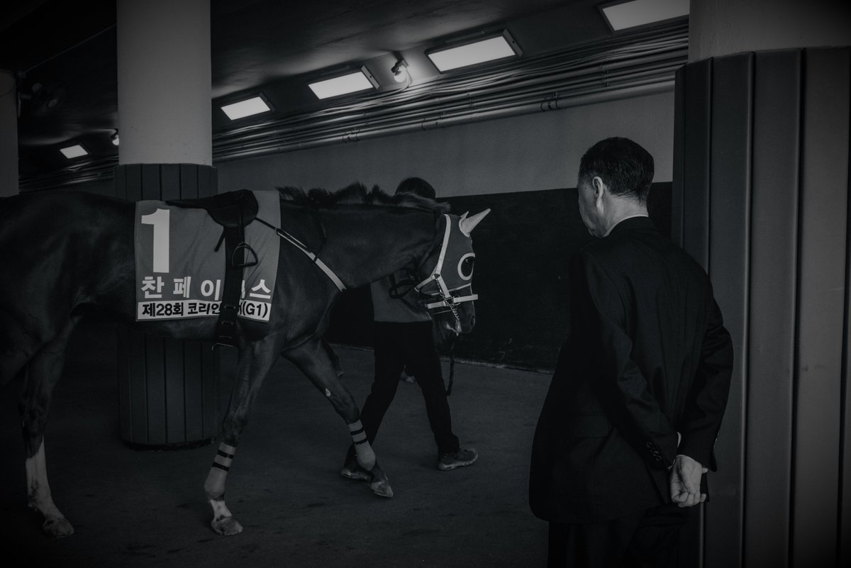 최현성|HyeonSeong Choe tweet media