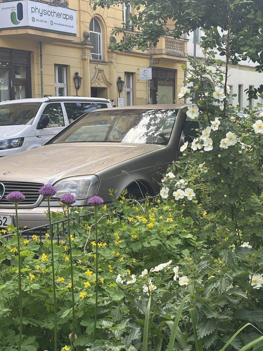 lucía۞ tweet media