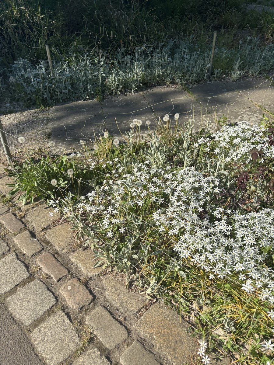 lucía۞ tweet media