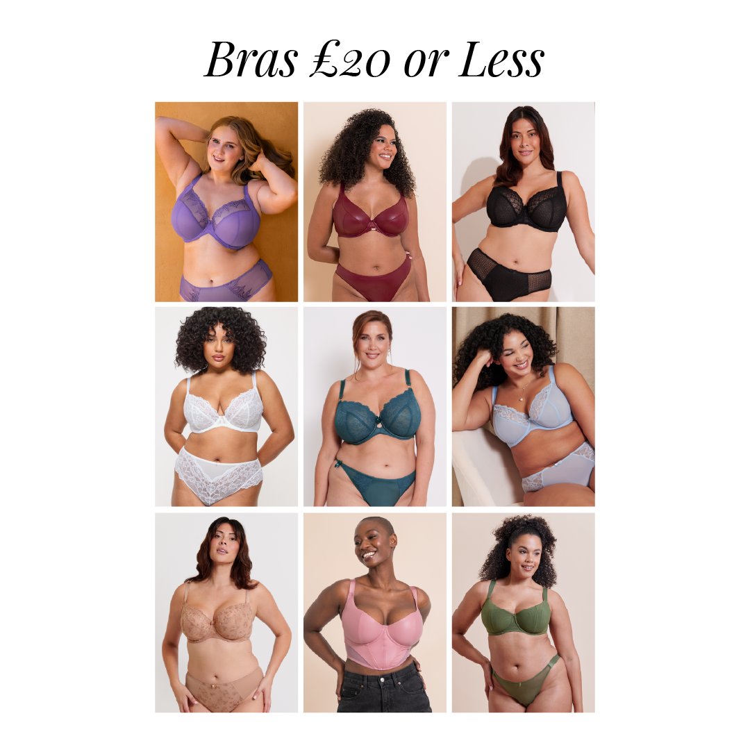 Brastop | D-K Cup Experts Since 2003 tweet media