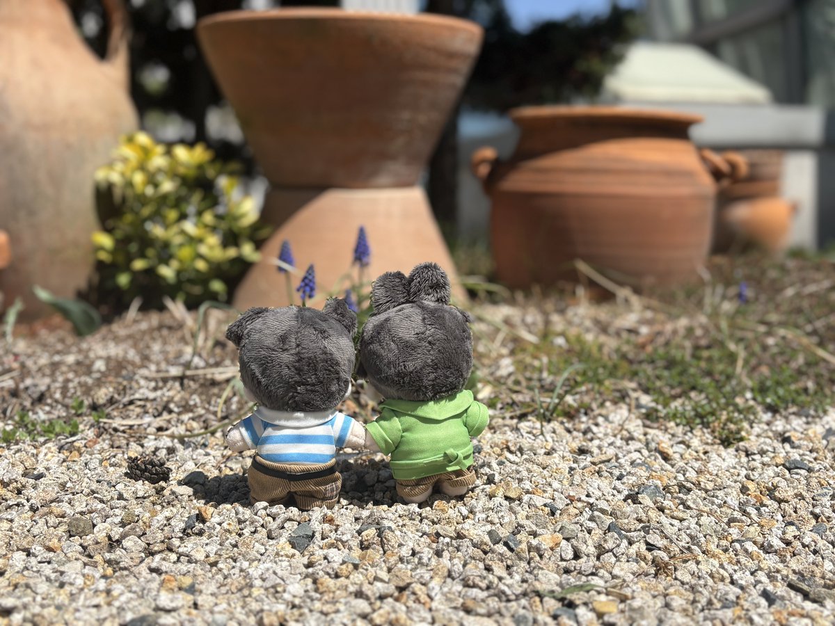 라떼전문점 tweet media