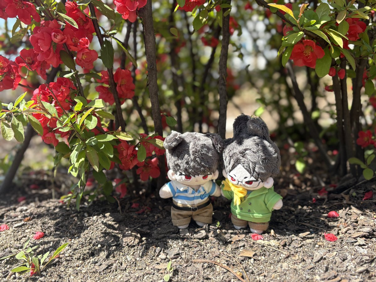 라떼전문점 tweet media