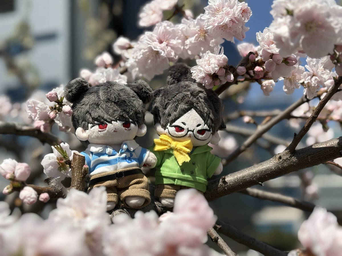 라떼전문점 tweet media