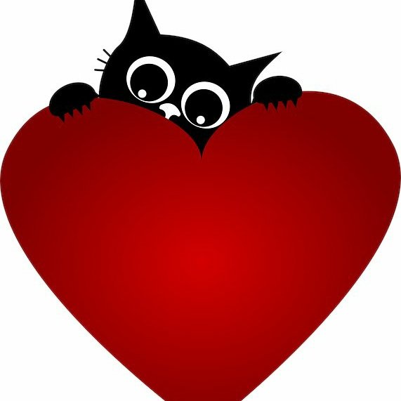 Cameron Rumambi tweet media