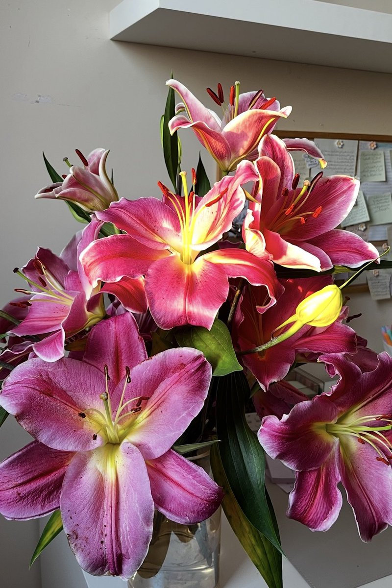 رُبى tweet media