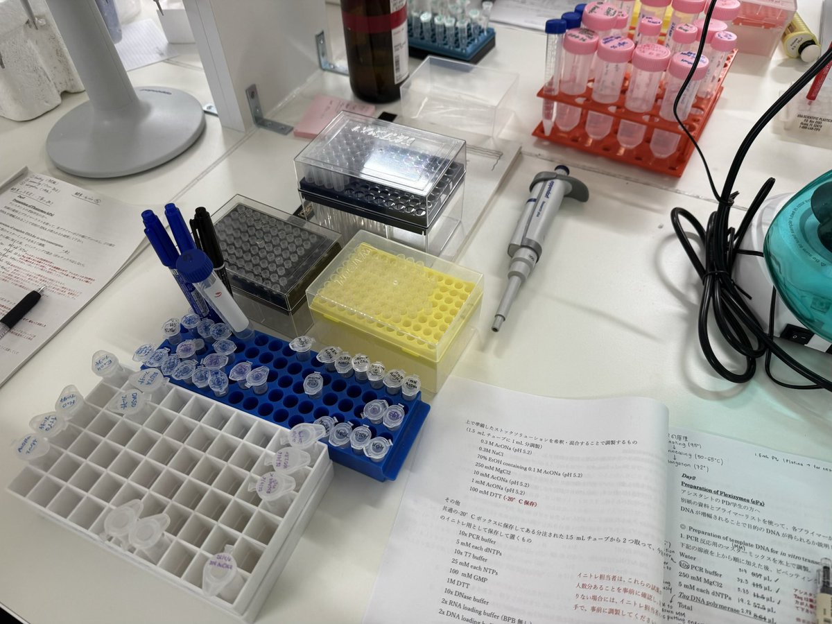 june 🌼 tweet media