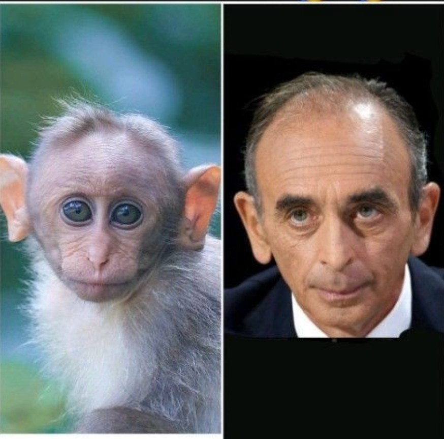 Rachid 🇵🇸 tweet media