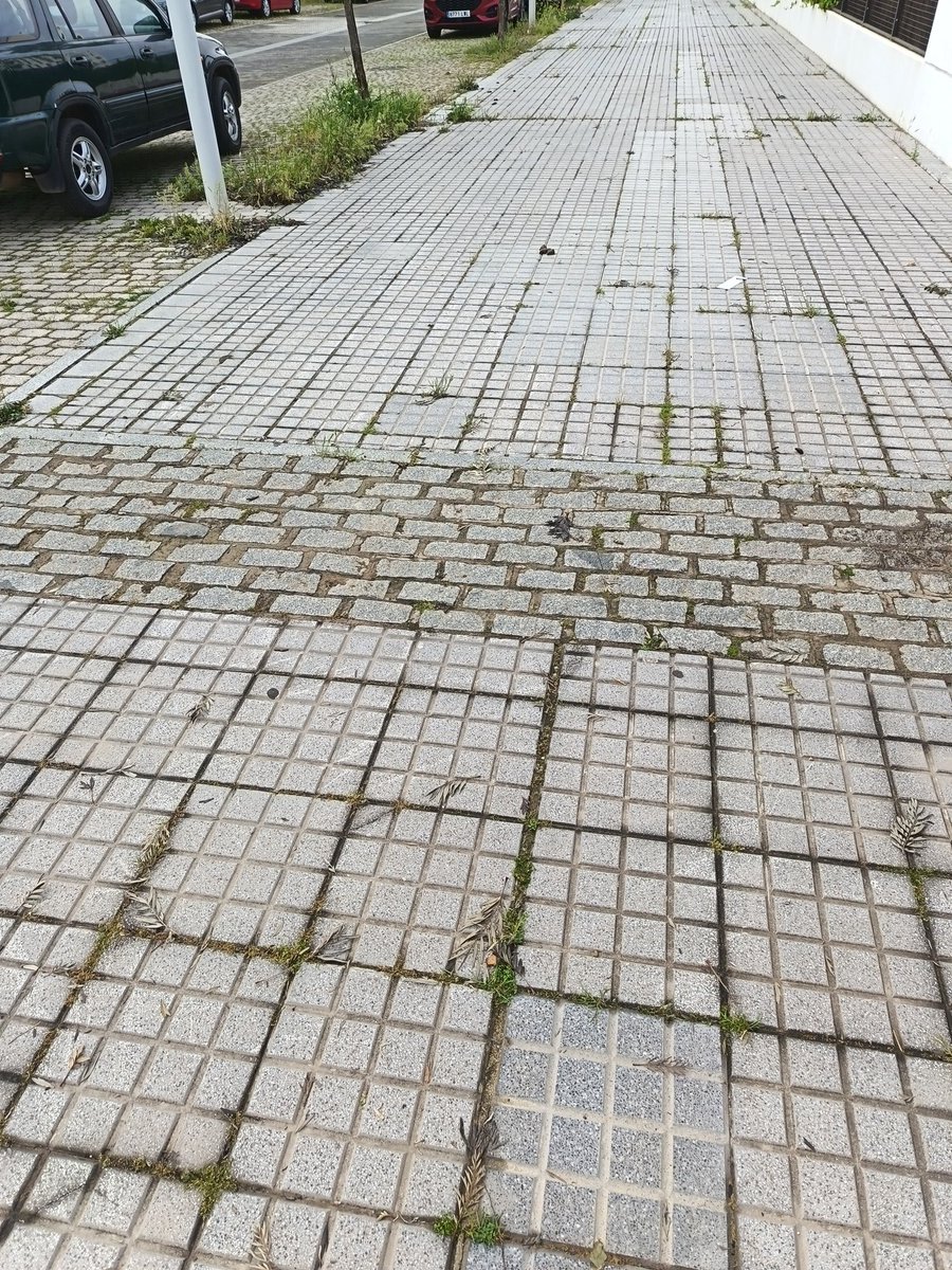 granadoss2's tweet photo. Mucho subir el impuesto a la basura pero a Sadeco no se le ve por Huerta de Santa Isabel ni por casualidad. @ayuncordoba_es aquí una muestra de parte del barrio, es de vergüenza!! Mientras más se paga peor servicio dan. https://t.co/MEAFNVmJr0
