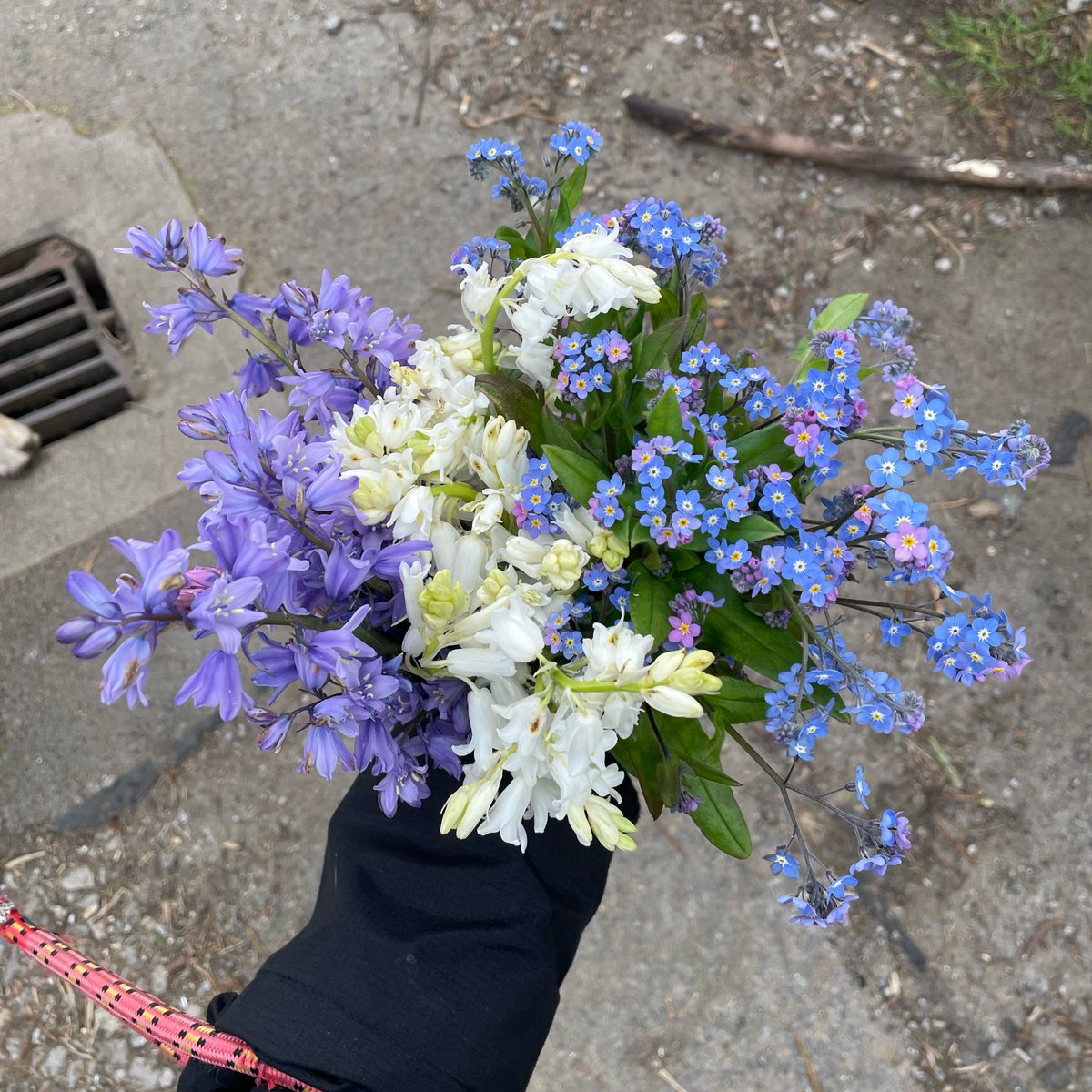 jj♡ ̆̈ •. tweet media