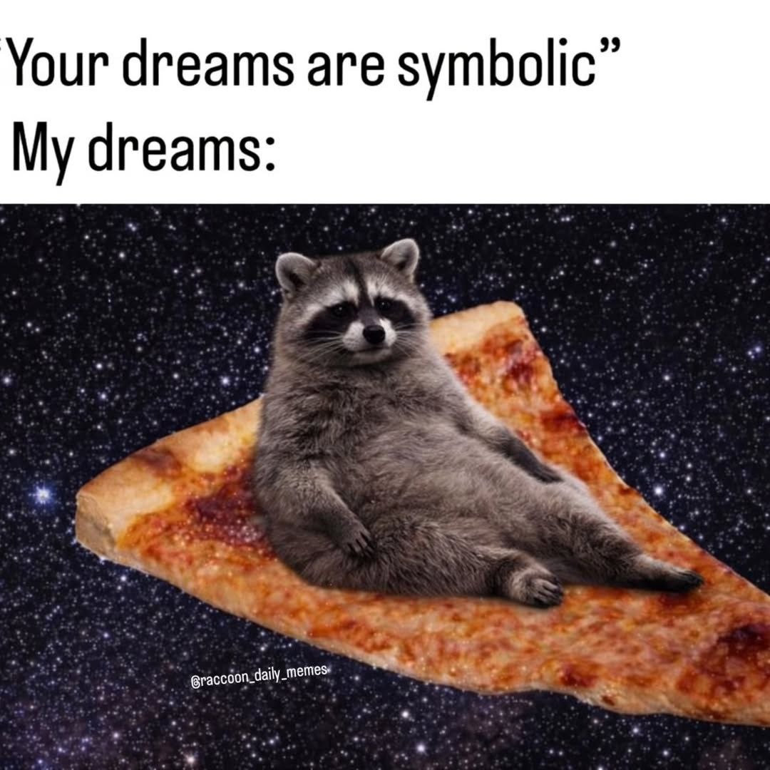 raccoon with confusing auras tweet media