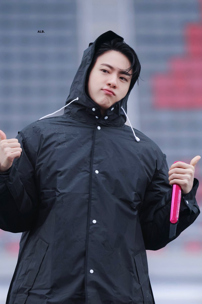 A LITTLE BRAVER 🐬 tweet media