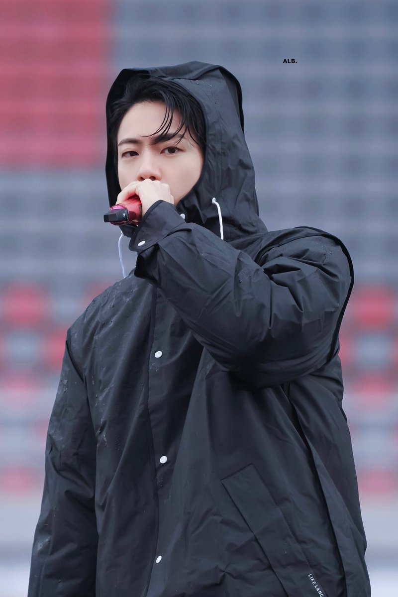 A LITTLE BRAVER 🐬 tweet media