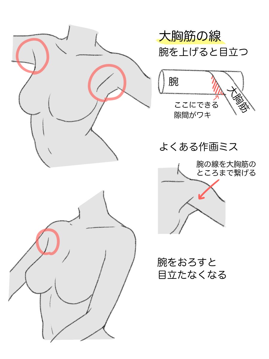 お絵かき講座パルミー tweet media