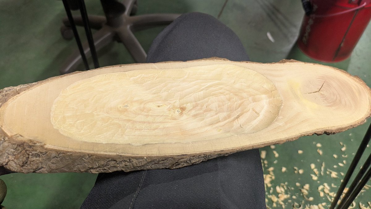 キャンパー🇩🇪TEN𒈙天 tweet media