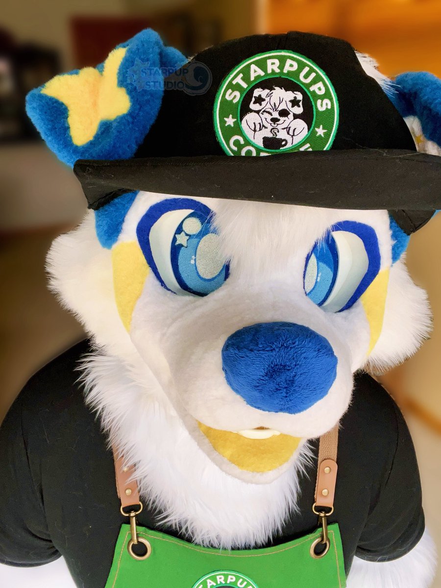 💫Starpup💫 tweet media