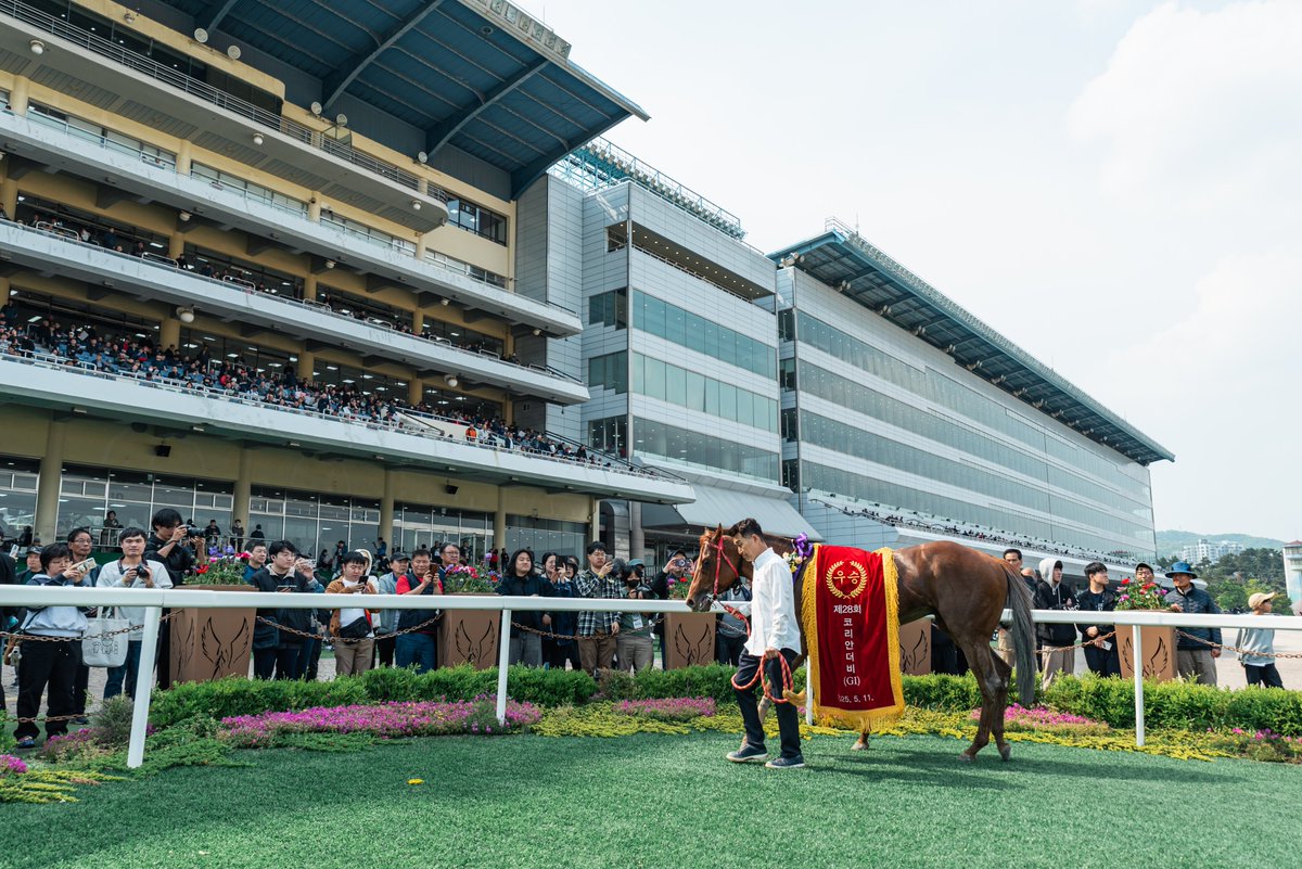 최현성|HyeonSeong Choe tweet media