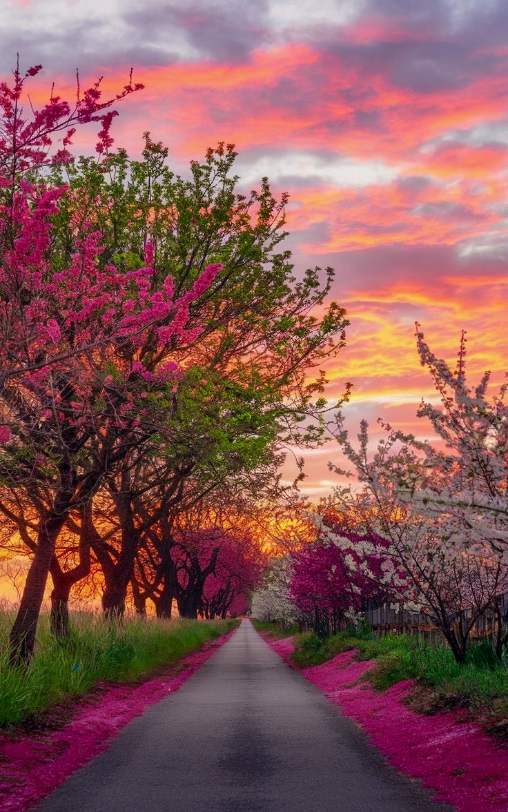 The earth changes after rain the way a heart does after being loved right.