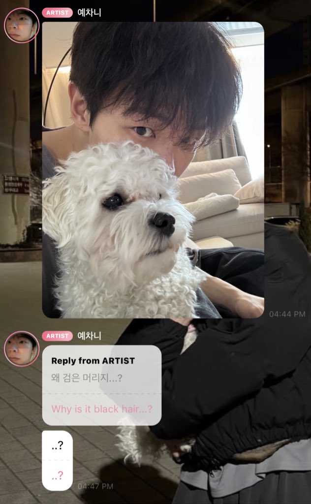 🧸ྀི kyra tweet media