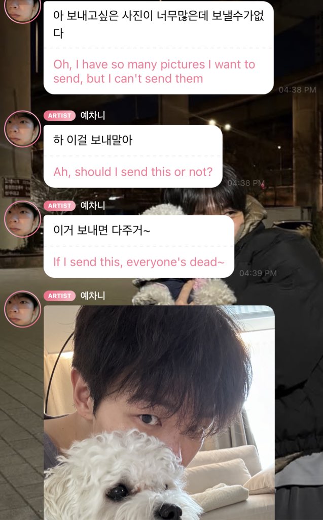 🧸ྀི kyra tweet media