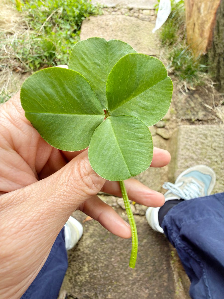 岡田准一 / JUNICHI OKADA / AISTON tweet media