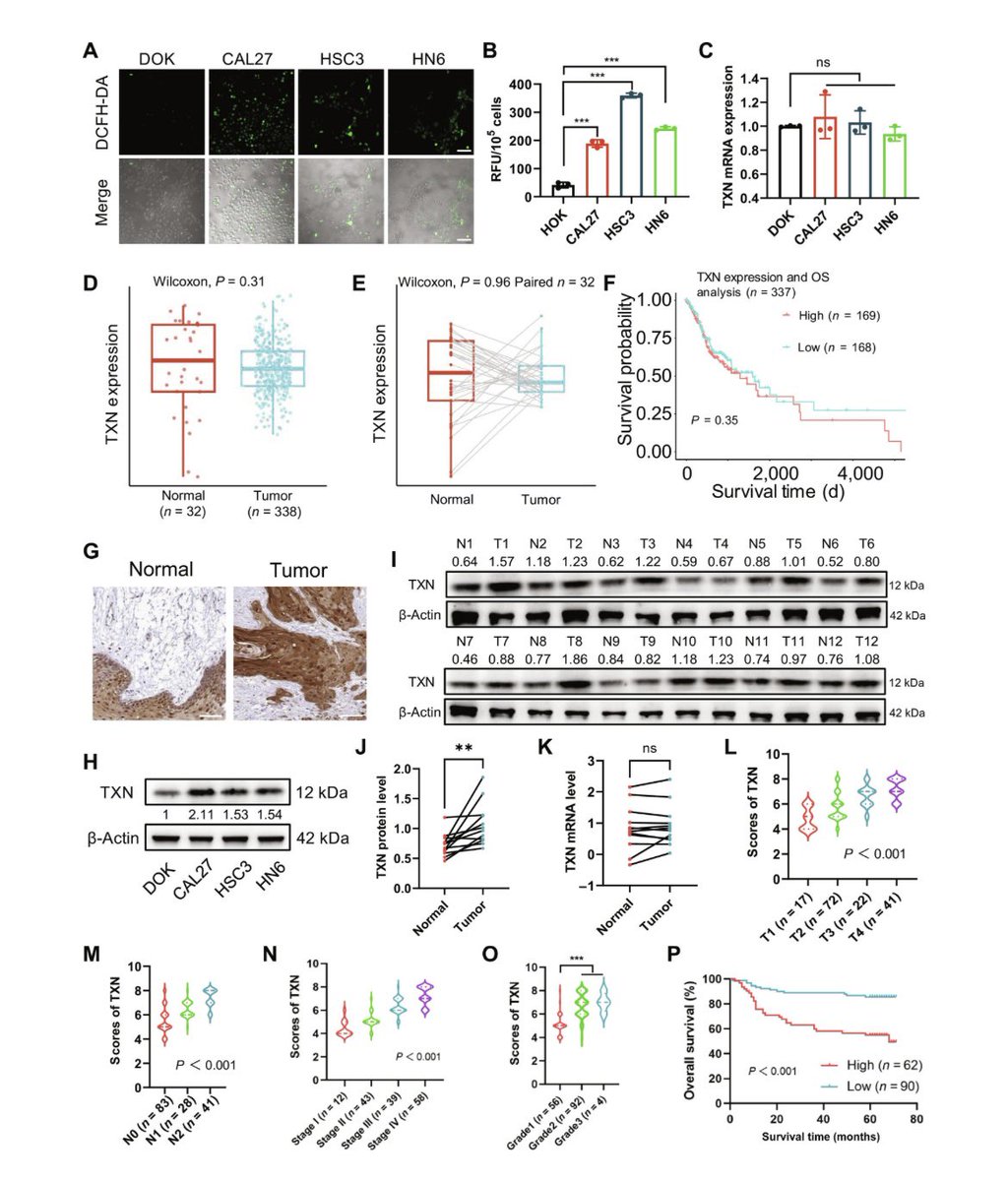 Research tweet media