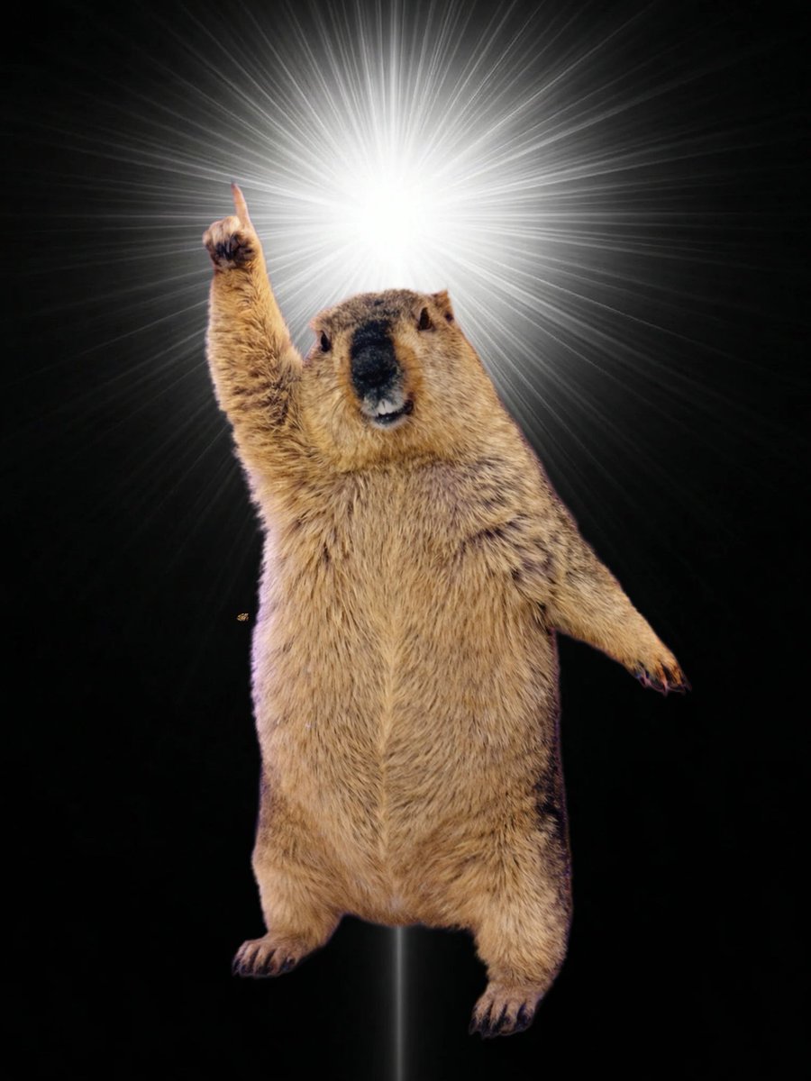 ぼんじり tweet media