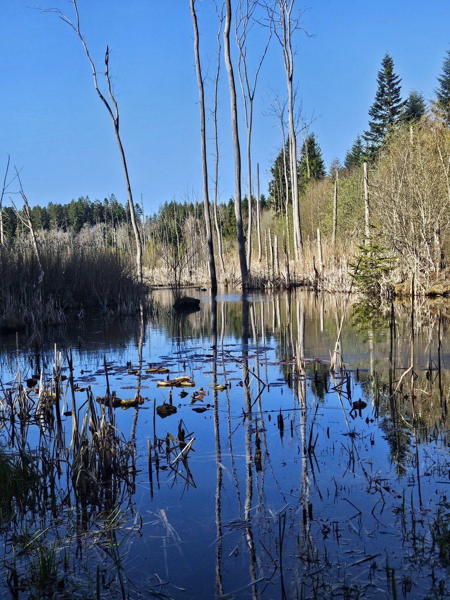 La fée clochette 🧚‍♀️🦄✨️🇨🇭🇫🇷 tweet media