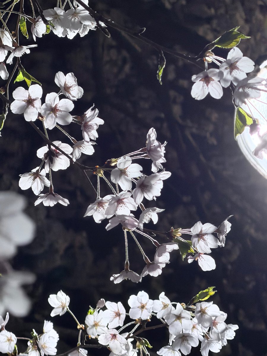 minjae source ⌂ tweet media