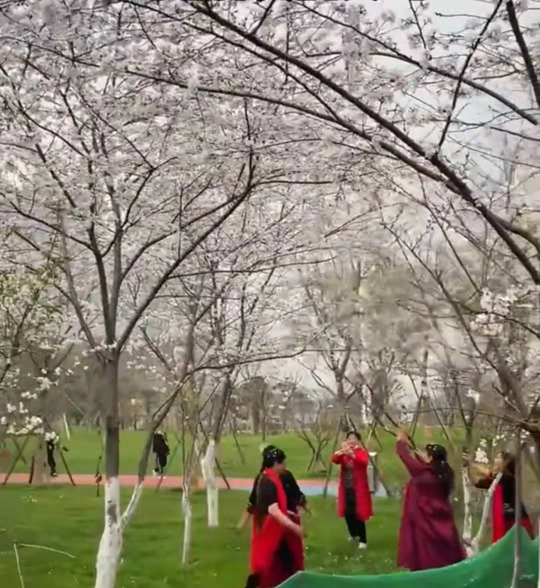 jahirul sk tweet media