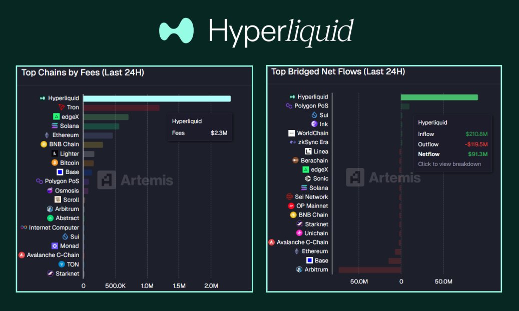 Vikingo.hl tweet media