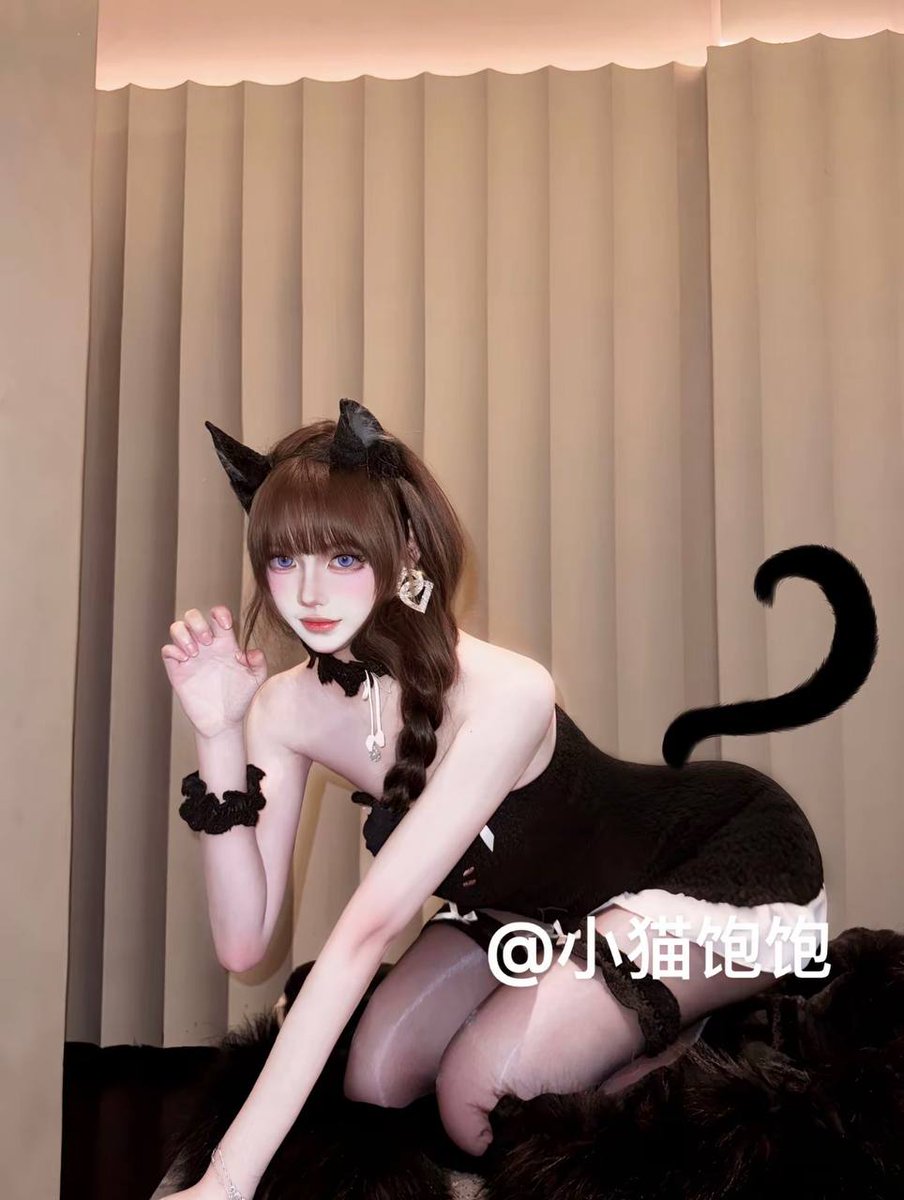 小猫饱饱~ tweet media