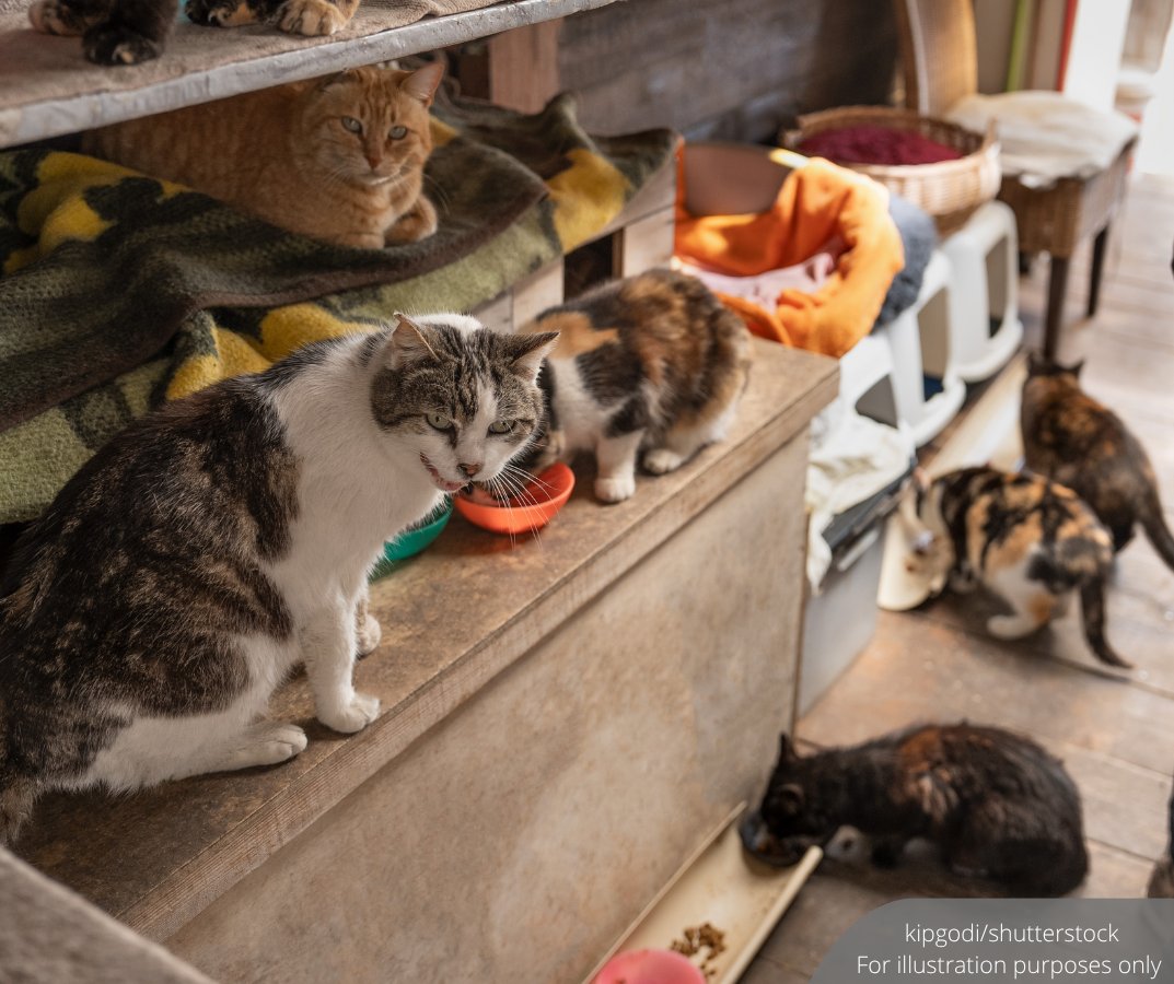 BFM News tweet media