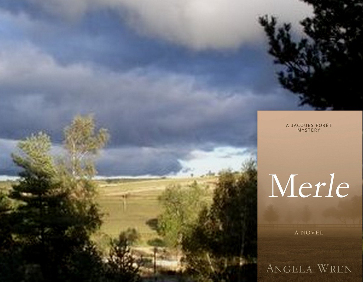 AngelaWrenAuthr's tweet photo. ⭐⭐⭐⭐⭐ #Merle
#JacquesForêt delves into the murky world of commercial sabotage – a place where people lie &amp; misrepresent, where information is traded &amp; used as a threat.
https://t.co/RFRWtxESs5

📚📔#CosyCrime #JacquesForêtMysteries #Cévennes #KU #Kindle #JamesetMoi https://t.co/H5z5PUzR2A