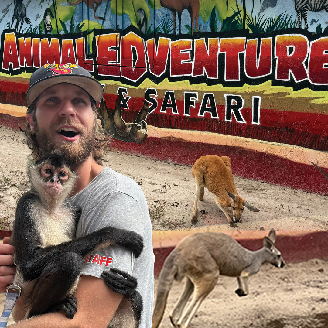 the Parklander Magazine tweet media