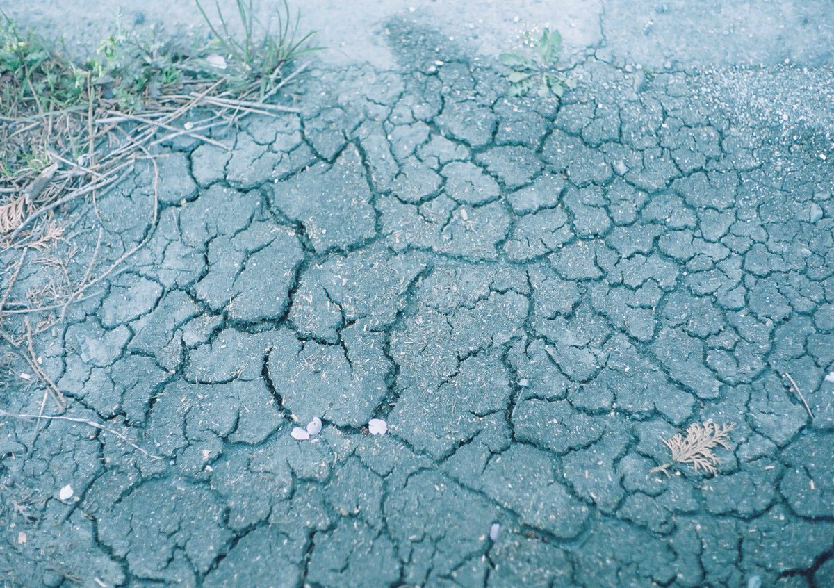 小井里 ゆか tweet media