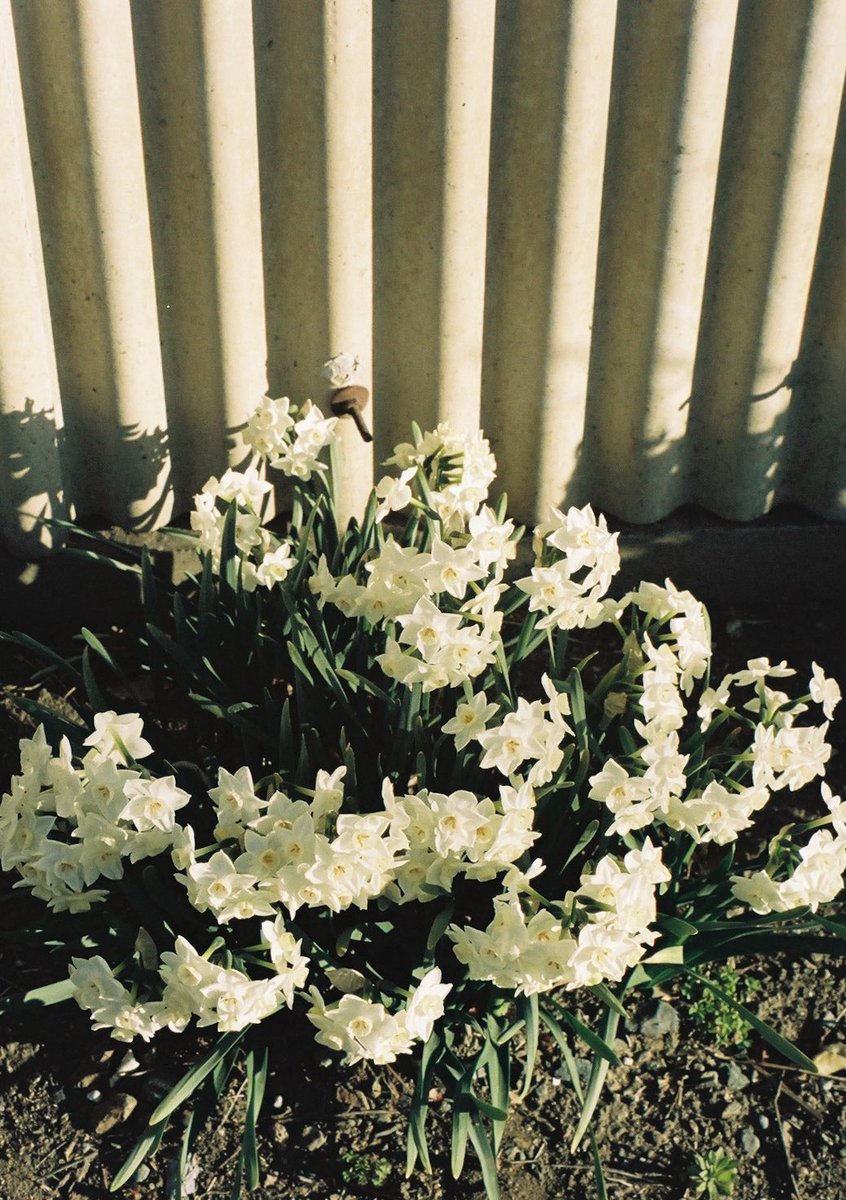 小井里 ゆか tweet media