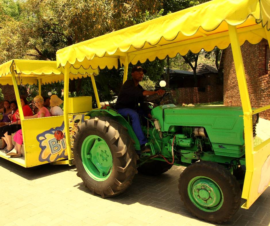 1stExchange's tweet photo. Discover Mount Amanzi, set along the Crocodile River in the heart of Hartbeespoort, this family-friendly resort is the perfect balance of relaxation and fun. 

👉 Start exploring: https://t.co/oEwbgURnfA

#FirstExchange #MountAmanzi #Hartbeespoort https://t.co/e5Y3mpvBec