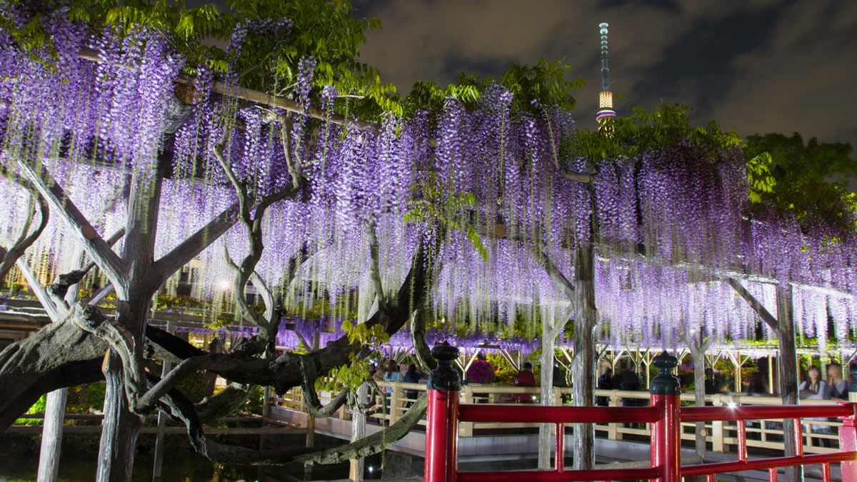 イベントチェッカー製作委員会 tweet media