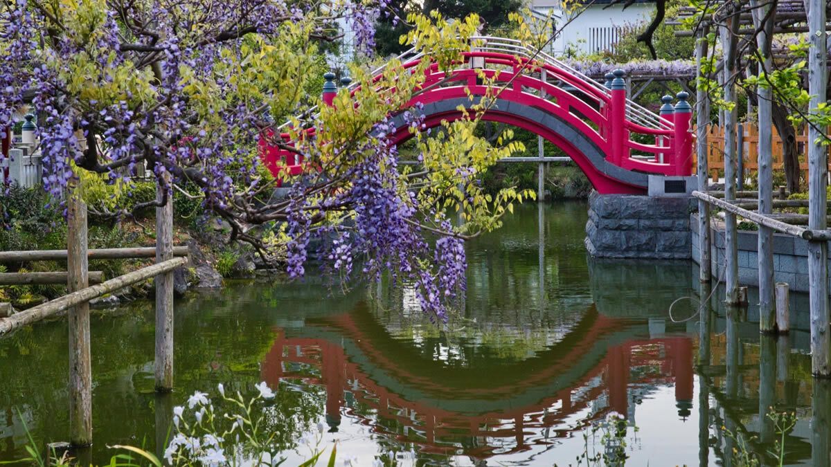 イベントチェッカー製作委員会 tweet media