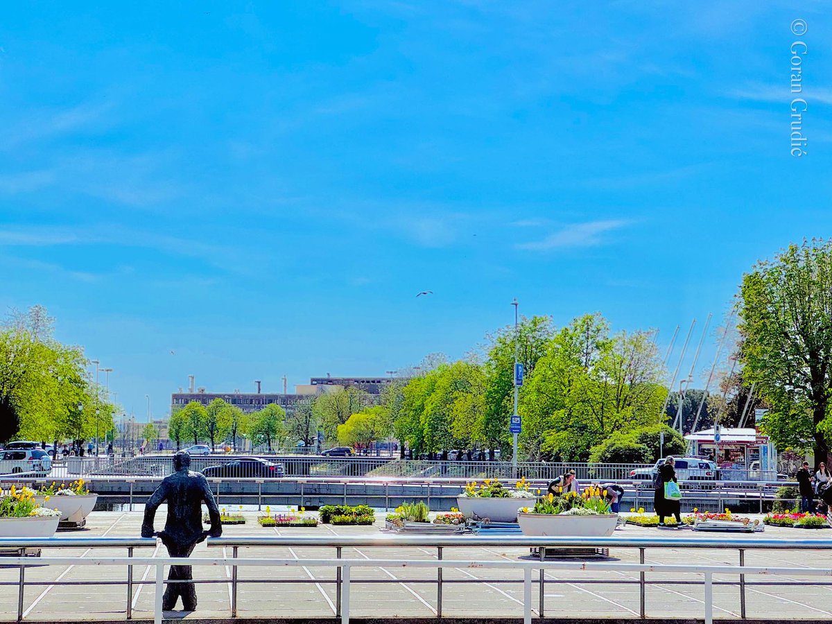 Goran Grudić tweet media