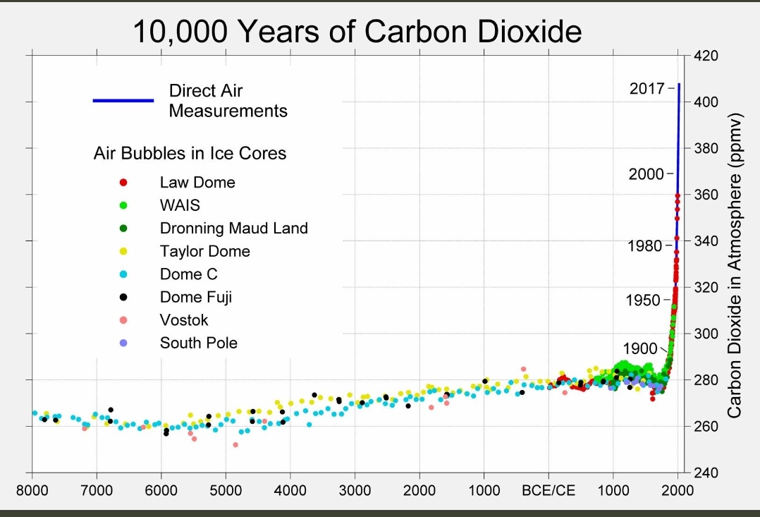 Karel vogelaar tweet media
